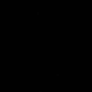 Meet your Posher, Han